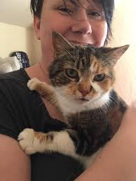 Hello! I found this cat a few months back and haven't been able to find  owners. Does anyone recognize this cat or able to take her in? I would keep  her but