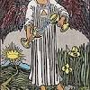 The death card as a person if the tarot death card refers to a person, which is quite rare, it is either someone marked by death or something similarly sinister, or it is a person bringing it. 1