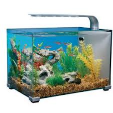 The top has a small notch that you can feed fish through. Top Fin Retreat Aquarium Betta Fish Tank Betta Fish Aquarium