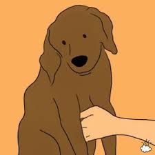 Peu De Gens Savent Ca Et Pourtant C Est Primordial Proprietaires De Chiens Chien Toilettage Chien