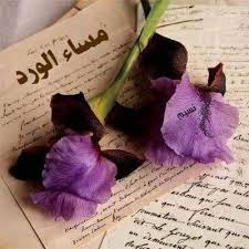 بعض البشر ورده على صفحة كتاب وبعض البشر غيمة أمل لمن نظرها مساء الورد لمن هم لنا أملا وعطرا مساء نسيم Love Letters Purple Love Purple Home