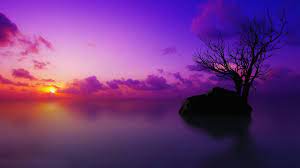 195 purple abstract wallpaper hd. Best 31 Purple Sunset Desktop Background On Hipwallpaper Beautiful Widescreen Desktop Wallpaper Desktop Wallpaper And Naruto Desktop Backgrounds