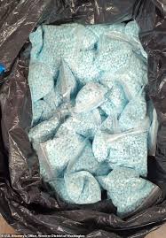 Seattle youth activist is branded 'a wolf in sheep's clothing' after being  linked to deadly fentanyl ring