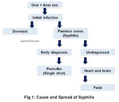 Image result for syphilis symptoms