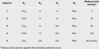 Image result for Bobgunnia