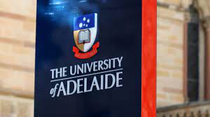 Cancer council south australia in all classifications. Cancer Council Adelaide Uni Exec Roles On Offer Herald Sun