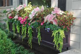 Designing Summer Containers Dirt Simple Window Box Plants Window Box Flowers Shade Plants