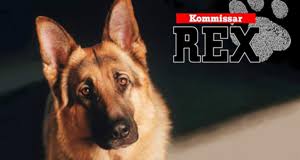 Dass er ihn umbringen wird woher hat er ihn gekannt? Kommissar Rex 1994 News Termine Streams Auf Tv Wunschliste