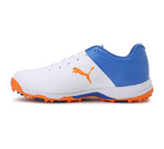 Image result for Puma 20