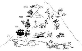 La Montagna Disegni Da Colorare Nel 2020 Disegni Da Colorare Attivita Geografia Costruire Un Libro
