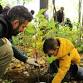 Plantation d'arbres et arbustes indigènes/Planting event image