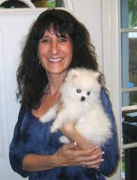 Micro teacup puppies for sale. Pomeranian Puppy For Sale In Florida Petswall