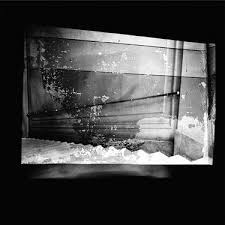 Bildergebnis für Ala D'Amico