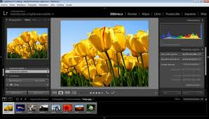 Download adobe lightroom mod apk latest version 2021. Adobe Photoshop Lightroom Cc 2020 Descargar Para Pc Gratis