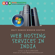 Web Hosting Services In India Multi Domain Window Hosting Agm In 2020 Web Hosting Services Hosting Services Hosting