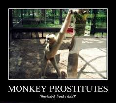 Me Love You Long Time Fi Dolla Sucki Sucki Bones Funny You Funny Funny Pictures
