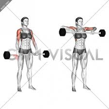 Dumbbell upright rows are a great exercise for shoulder and trap muscular development and the perfect addition to your upper body workouts. Barbell Shoulder Grip Upright Row Female