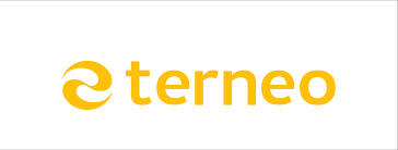 Терморегулятор terneo sx, рамка Стандарт, колір білий |  ds-electronics.com.ua