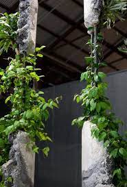 Succession Was Created For The 20th Biennale Of Sydney The Future Is Already Here It S Just Not Evenly Distributed It Con Macetas Jardines Plantas Exoticas