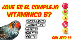 Complejo Vitaminico B Que Es Para Que Sirve Youtube