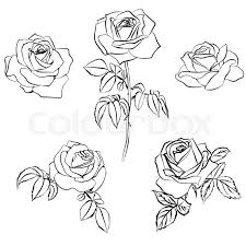 Stock Vector Of Set Rose Sketch Black Outline On White Background Vector Illustration Rose Sketch Rose Stencil Rose Outline
