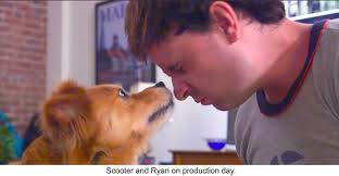 I would like to introduce you all to Ryan Morris, the assistant and…