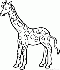 Aesop's fables coloring pages all about me coloring pages alphabet coloring pages american sign language coloring pages bible coloring pages bingo dauber art sheets birthday coloring pages circus coloring pages children coloring pages color buddies coloring pages community helpers & people construction coloring pages dental health. Giraffe Colouring Pictures Coloring Home