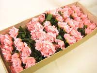 Buy artificial flowers in bulk near me. Bulk Buy Artificial Flowers And Plants Gt Decorations