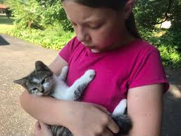 Not my post. Please click