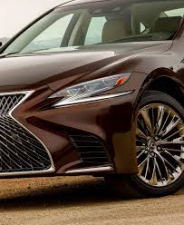 Image result for Autumn Shimmer 2019 LC