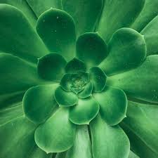 Lifeworks Health Center