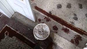 We did not find results for: Terrazzo Reparieren Youtube