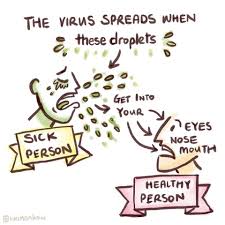 Influenza virus type a (excluding 1918 influenza a (h1n1) strain and subtypes h5, h7 and h9). Coronavirus Un Fumetto Spiega Ai Bambini E Ai Genitori Come Evitare Il Contagio Corriere It