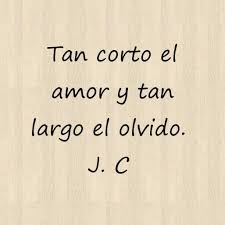 Tan Corto El Amor Y Tan Largo El Olvido Julio Cortazar Citas De Escritor Cortazar Frases Julio Cortazar