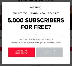 What is a news article? 69 Highly Effective Lead Magnet Ideas To Grow Your Email List Updated