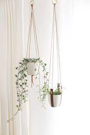 Use any of these 18 best hanging plants to add color and interest to any porch,. Pin On Plants