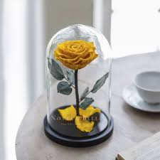 La fleur éternel naturel est également connue sous le nom de rose enchantée. Rose Personnalisee Sous Cloche Coffret Cadeau Gravure Individuelle