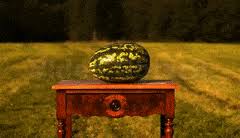 Click on the picture above to see the gif. Top 30 Exploding Watermelon Gifs Find The Best Gif On Gfycat