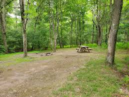 The last wheat crop was harvested in 1919. Patacoff S Pennsylvania And Mid Atlantic State Parks And Forests Campsite Reviews Tacoma World