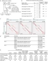 Improved Aedes Aegypti Mosquito Reference Genome Assembly