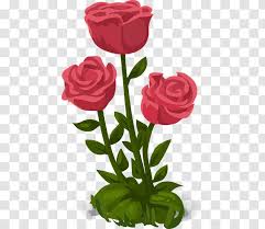 rose flower flowerpot happy mothers day transparent png