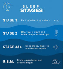 understanding sleep cycles and how to improve sleep health