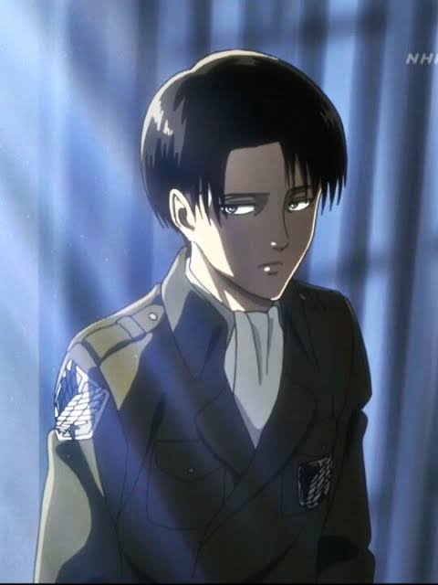 levi1