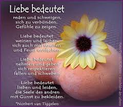 Streicheln Sie Seelen Mit Diesem Buch 3 Autor Norbert Van Tiggelen Nachdenkliche Spruche Weisheiten Lebensweisheiten Zitate