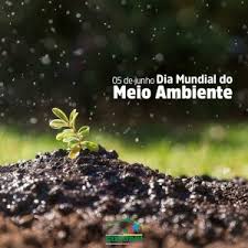 En argentina no quedan ecosistemas completos y el 70% del suelo está en proceso de desertificación. Prefeitura De Coroaci