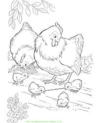 Mewarnai gambar ayam mewarnai gambar. 15 Gambar Mewarnai Ayam Untuk Anak Paud Dan Tk