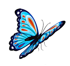 Find images of butterfly background. Butterfly Png Butterfly Transparent Background Freeiconspng