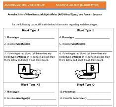 Amoeba sisters alleles and genesdraft. Amoeba Sisters Handouts Persuasive Writing Prompts Genetics Activities Genetics Lesson