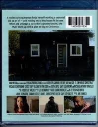 A Tiny House Christmas (Blu-ray, 2021) (Kathleen Cannon, Freddy Walker Jr.)  NEW