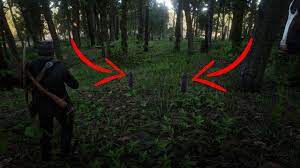 Craft 7 items using sage as an ingredientred dead redemption 2 challenges guid. Sage Location In Red Dead Redemption 2 Shacknews